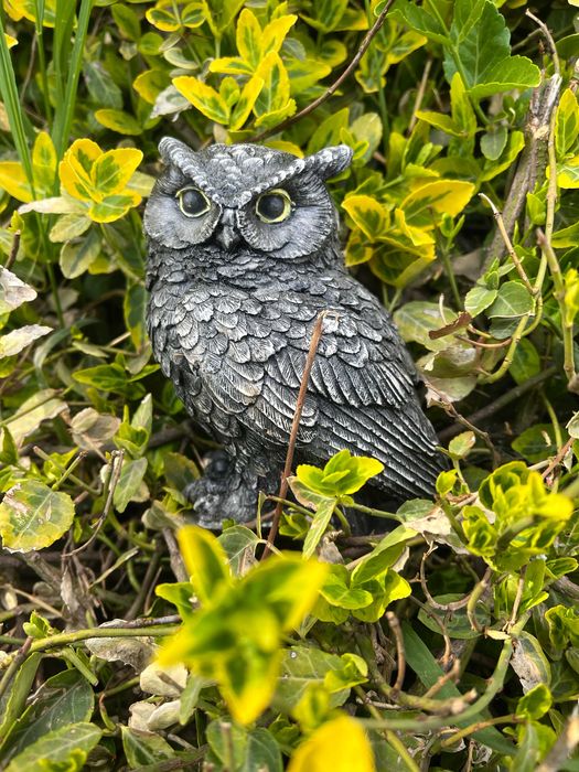 Декоративні фігурки для саду та дому.