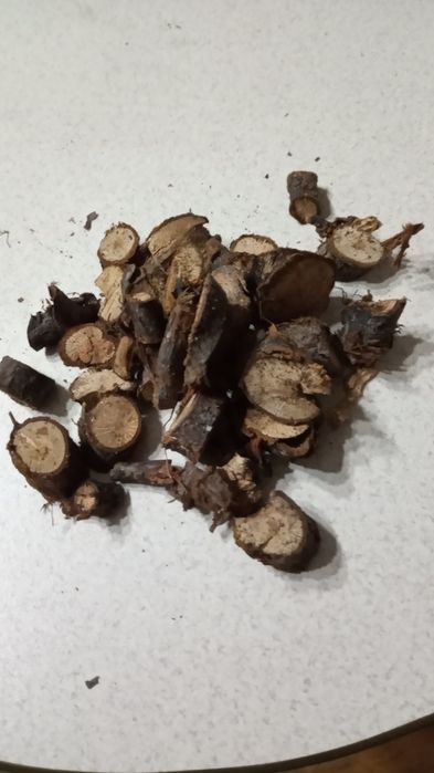 Продам корінь шипшини шоповника