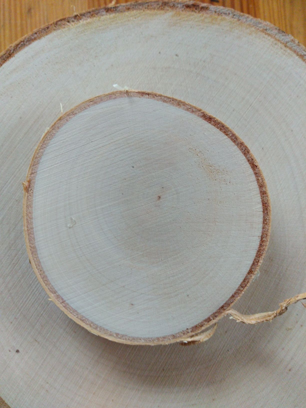 Plasterki drewna brzozowego krążki szlif ok 8 cm,