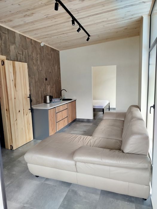 Будиночок з басейном і сауною подобово