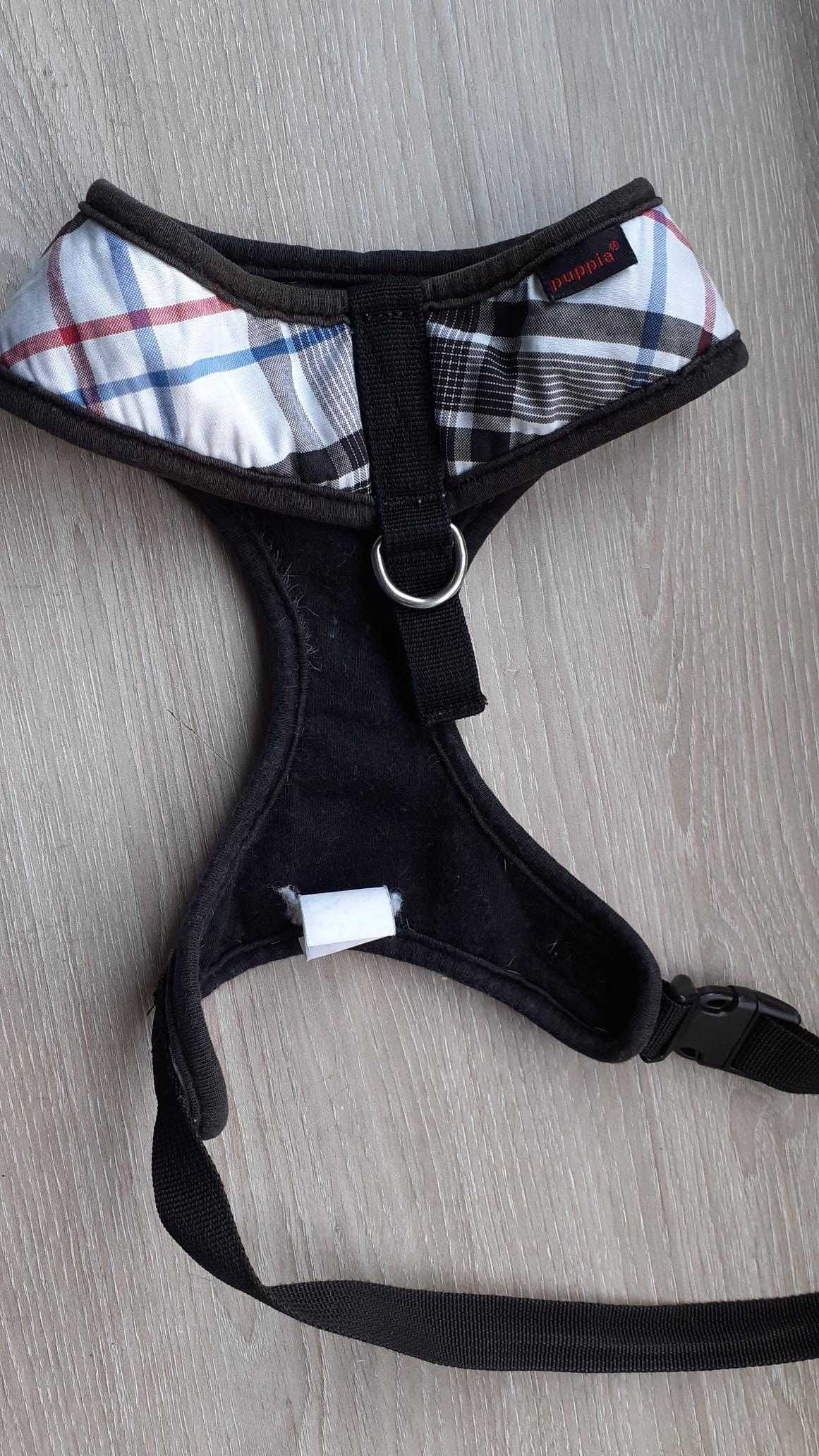 Peitilhos para cão L (bull dog francês)
