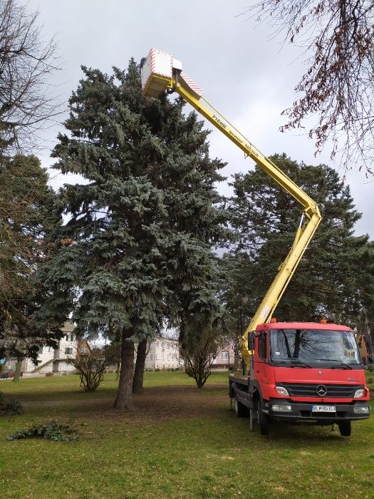 Podnośnik koszowy 30 m. Wycinka drzew. Frezowanie, usuwanie pni. Rębak