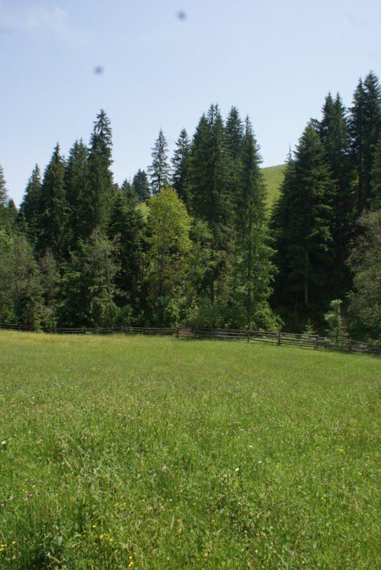 Земельна ділянка в Карпатах поруч з курортом Буковель.