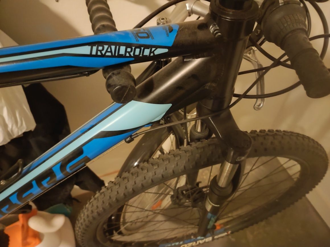 Bicicleta Berg L