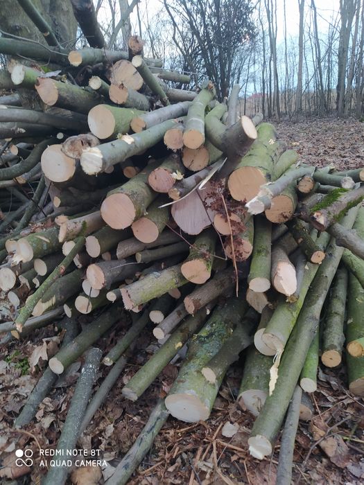 Sprzedam drzewo kominkowe
