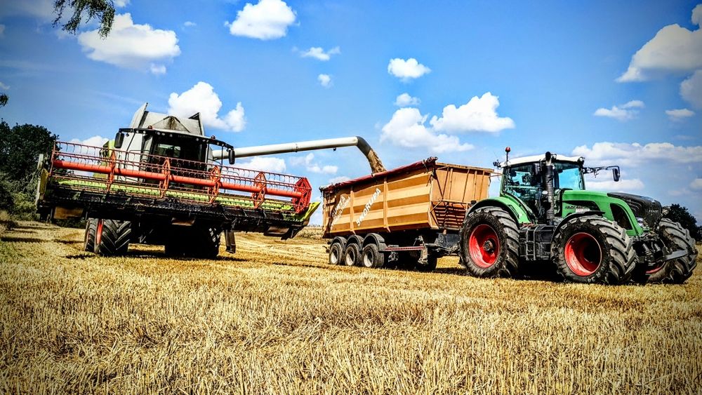 Usługa zbioru zboża, rzepaku, kukurydzy