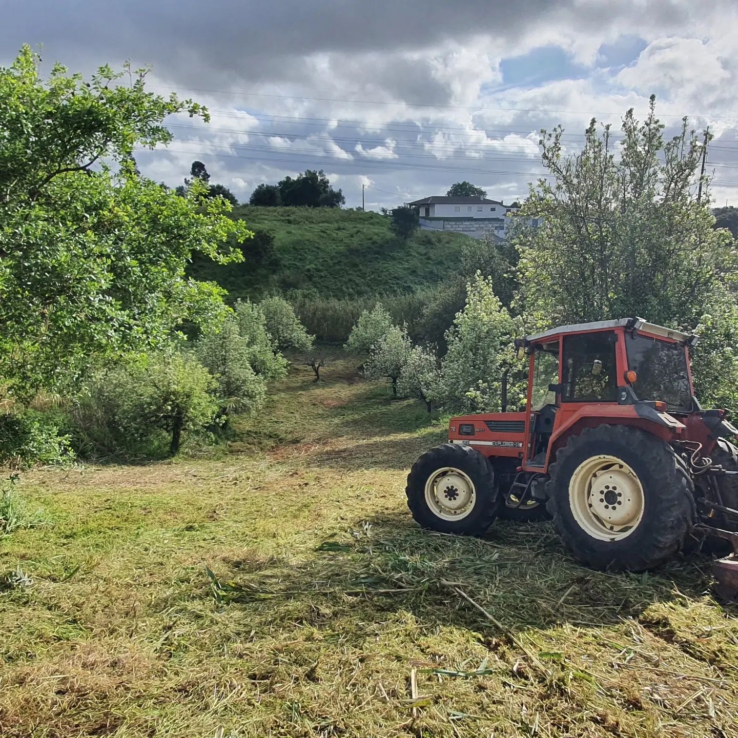 Limpeza / Desmatação de mato em terrenos