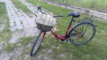 Rower damski cossack