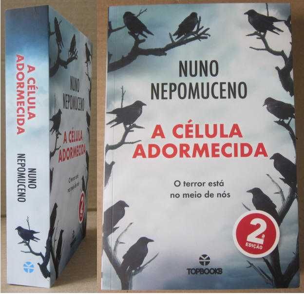 NUNO NEPOMUCENO - Livros