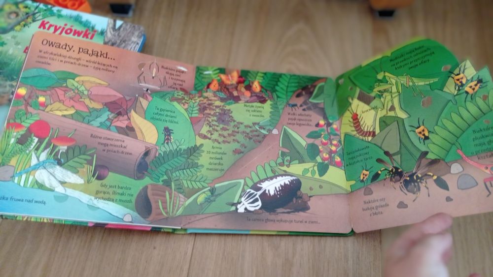 Dżungla bez tajemnic