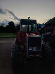 Massey ferguson 590