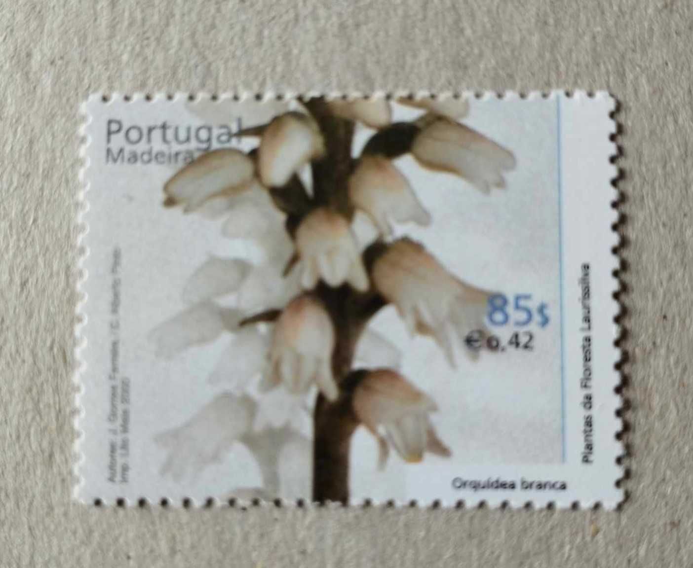 Série nº 2711/16 – Plantas da Floresta Laurissilva da Madeira 2000