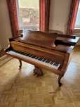 PIANO CAUDA  marca feurich