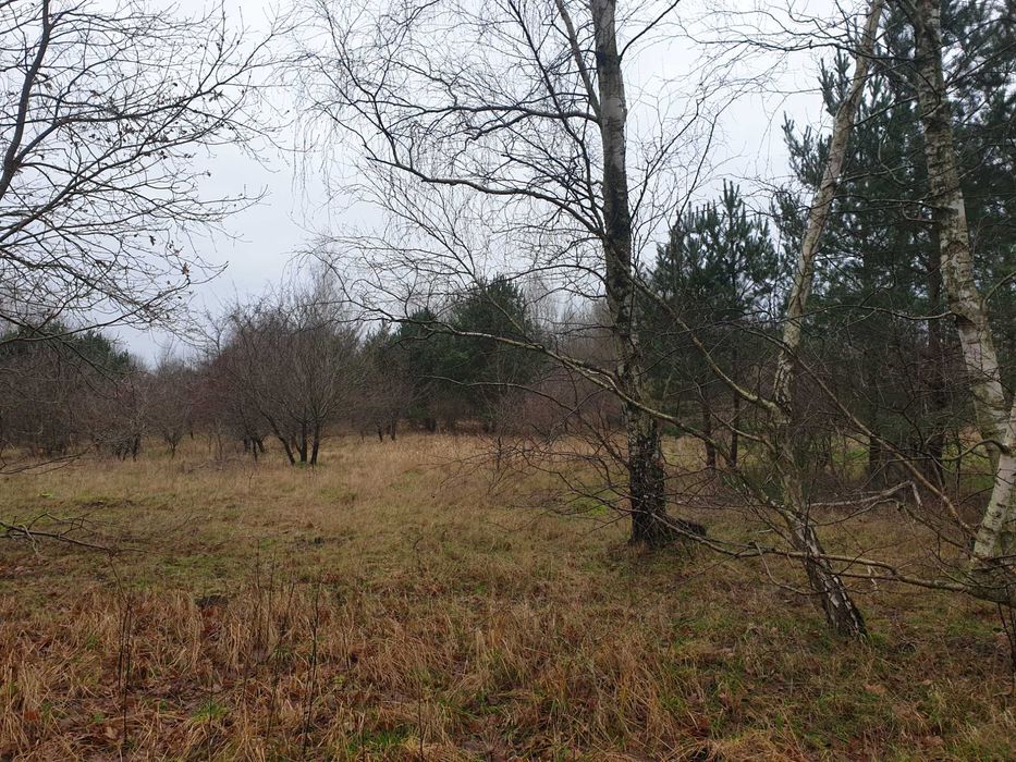 Działki budowlane NAD MORZEM Osada Leśna Ustka Słupsk