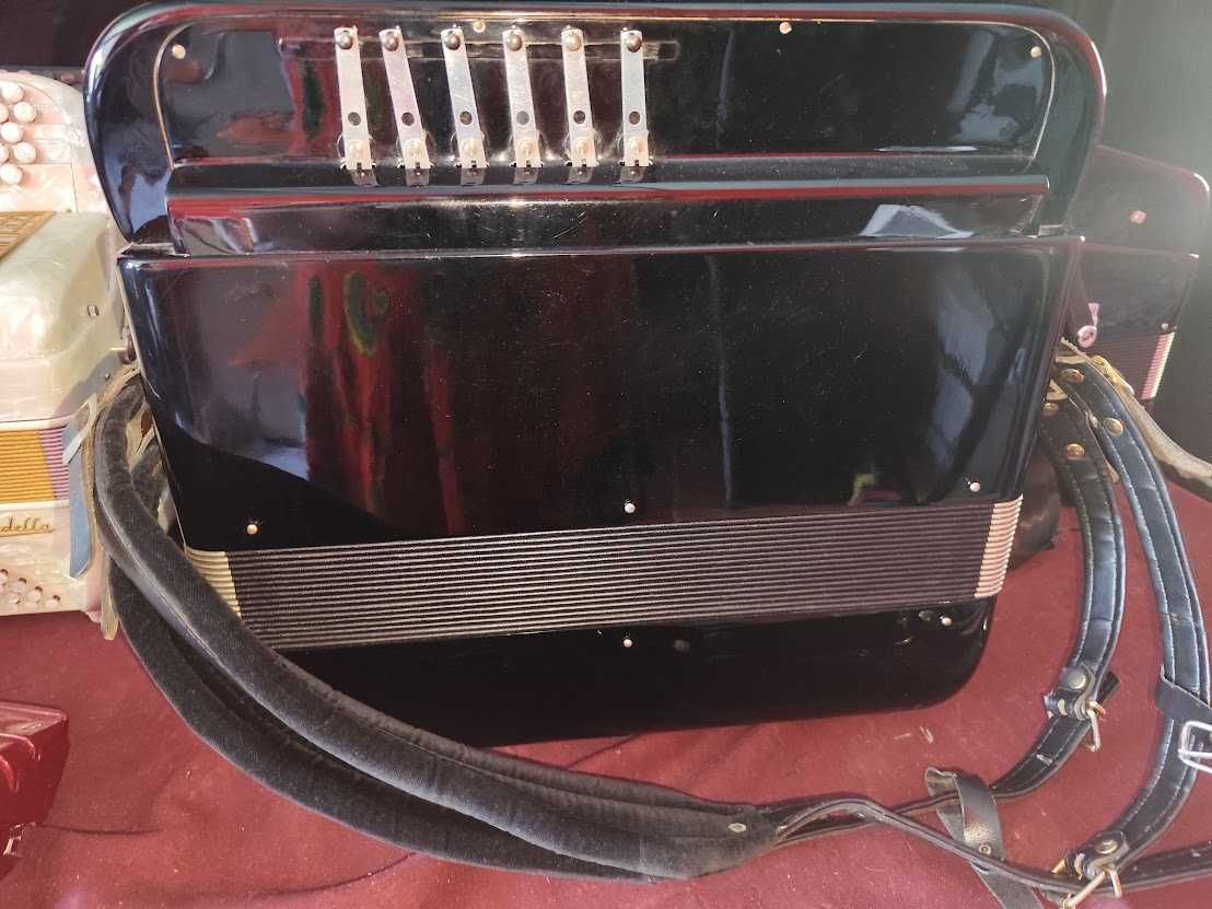 Acordeon com microfones modernos pilha 9v troco por dois