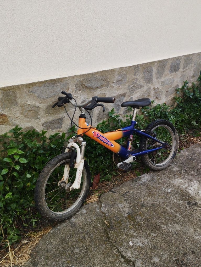 Bicicleta Majori
