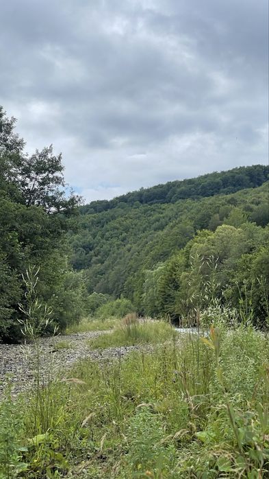 Продається деревяний будинок