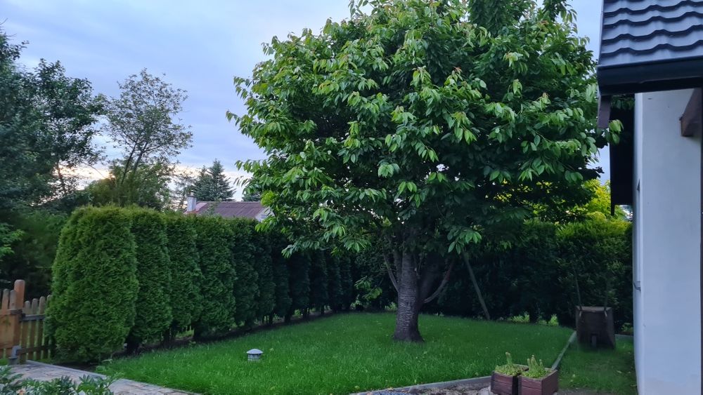 Nowy dom ROD Biedrusko.