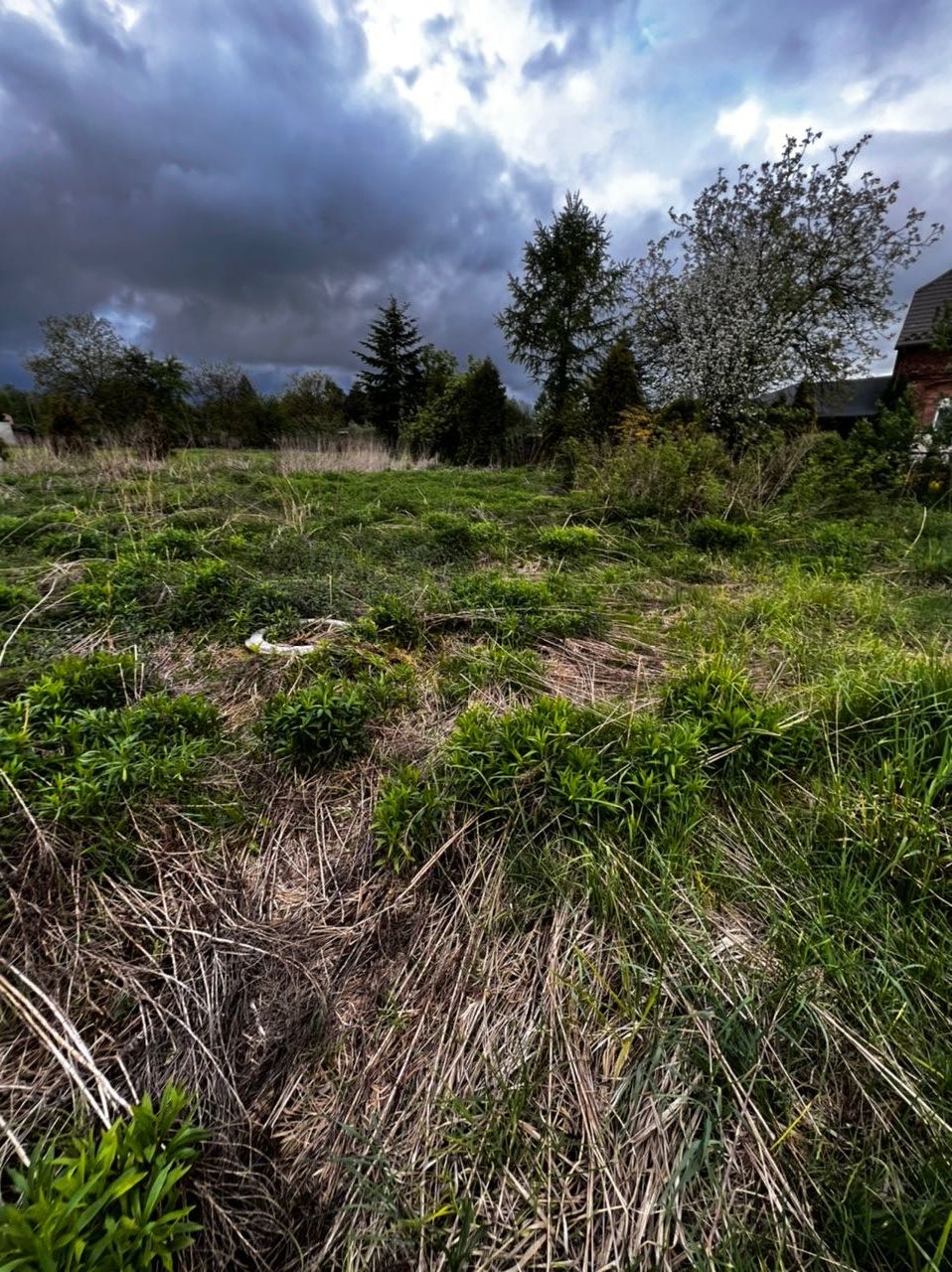 Pielęgnacje Terenów Zielonych/ Koszenie Traw/ Ogrody/ Nieużytki