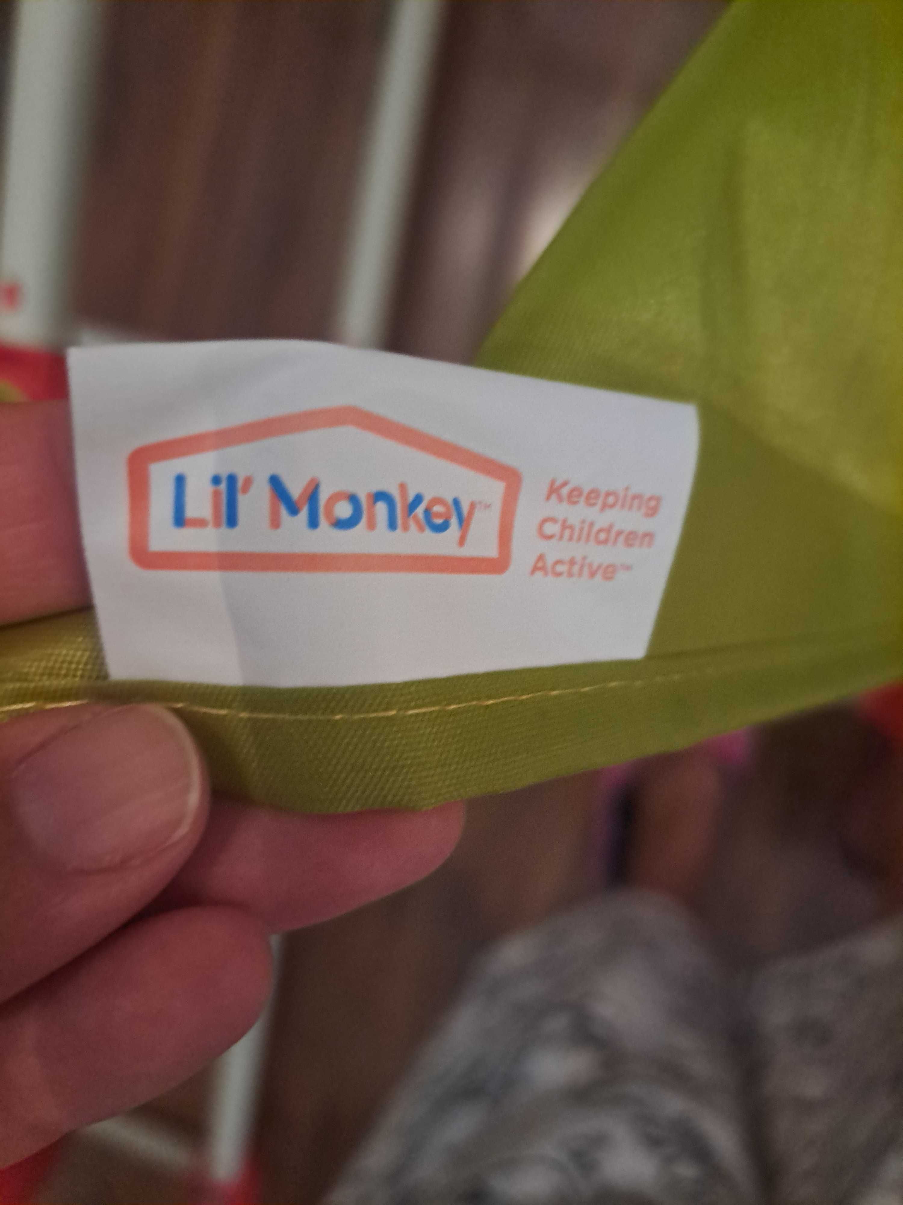 Pirâmide com escorrega Lil Monkey