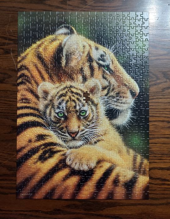 Puzzle Castorland 500 el. Cherished - Tygrys z młodym B-52448 (-1)