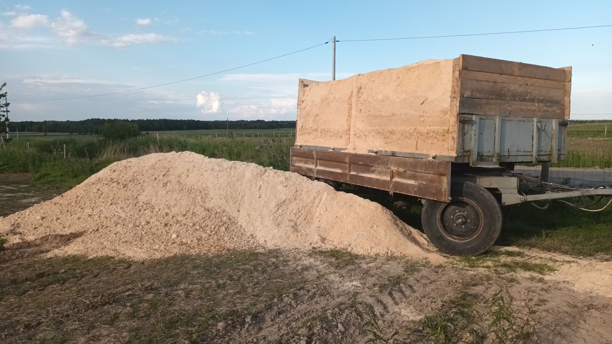 Trociny pod dzewka