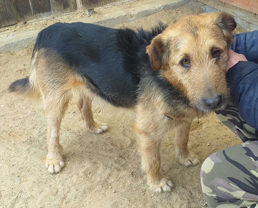 Terry czeka na szansę od życia, na własną rodzinę