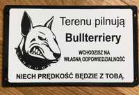 Tabliczki uwaga zły pies bulterier, pitbull, amstaff duży wybór