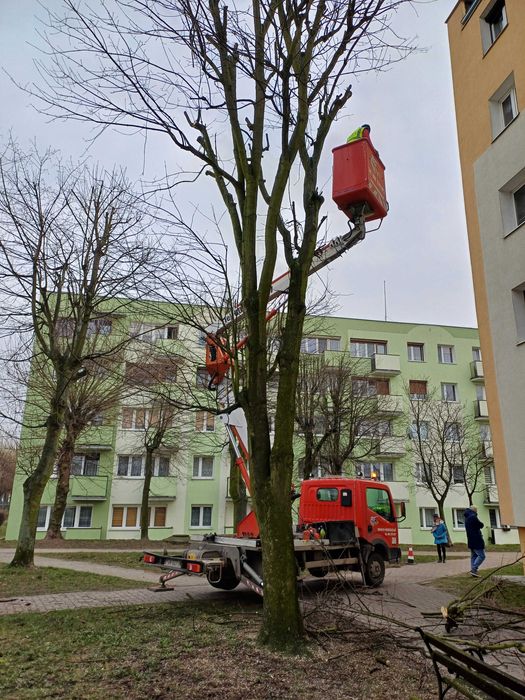 podnośniki koszowy GNIEZNO - wynajem