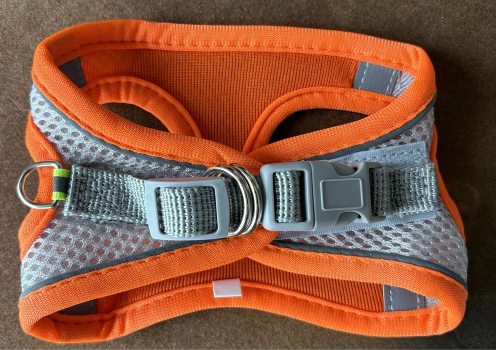 Dorsal - cão pequeno - NOVO