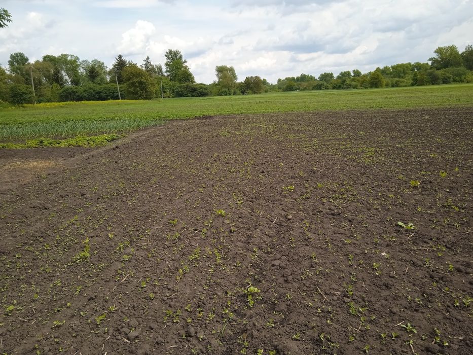 Земельна ділянка