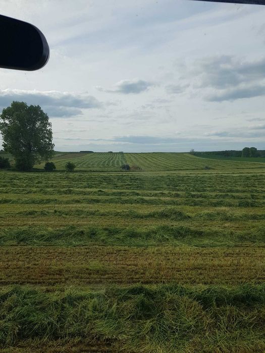 Zbiór traw przyczepą samozbierającą Krone, zbiór kukurydzy