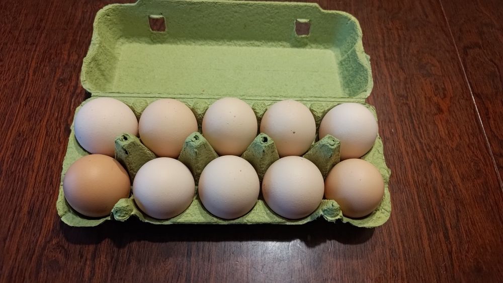 Jajka wiejskie z wolnego wybiegu