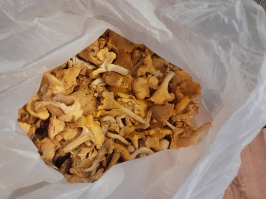 3kg możliwa wysyłka