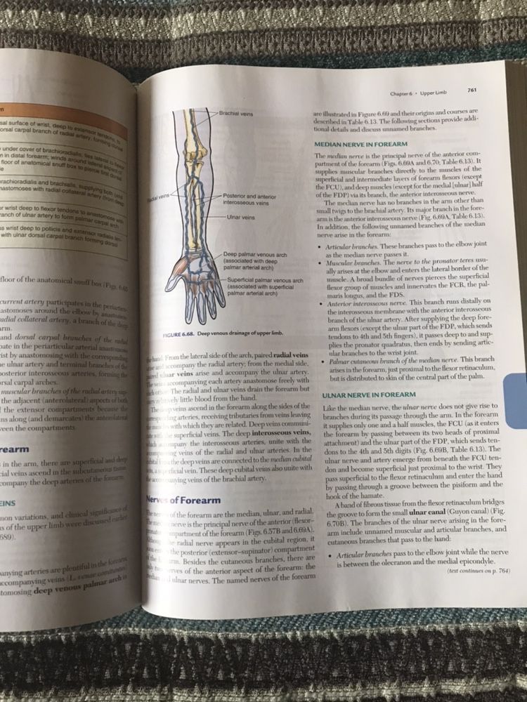 Moore - Clinically Oriented Anatomy