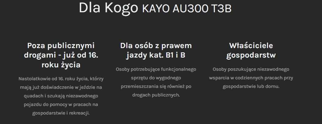 Quad KAYO AU300 T3B od ręki Raty Transport QuadON Assix, Beretta