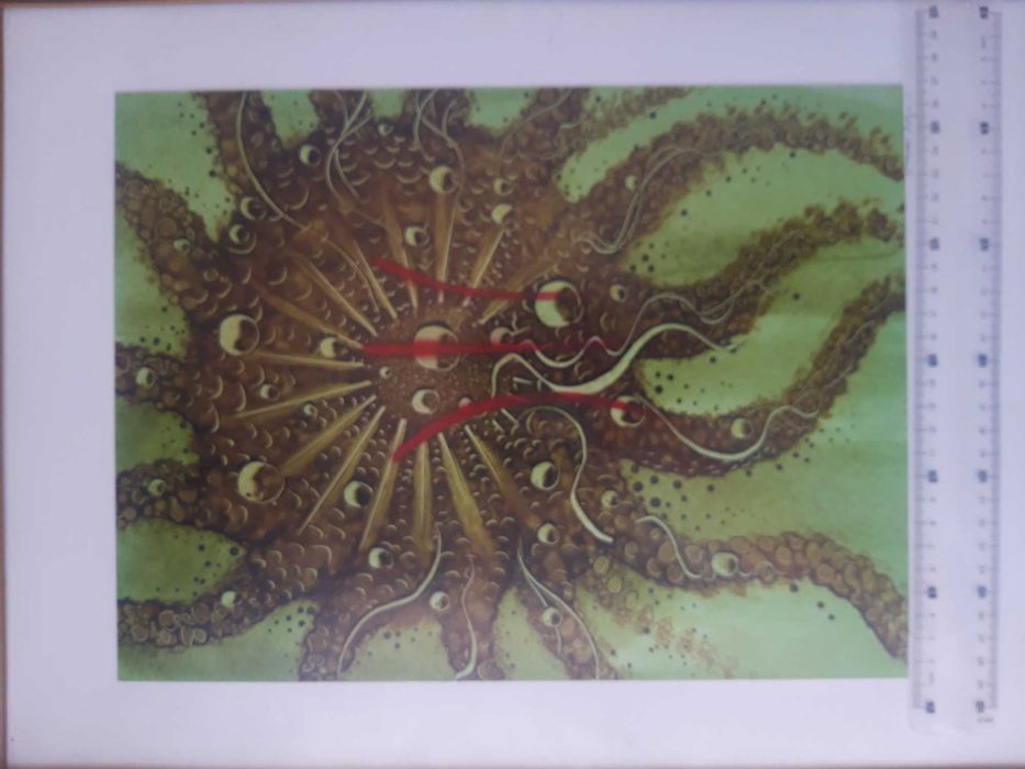 Arte de Rua - pintura spray