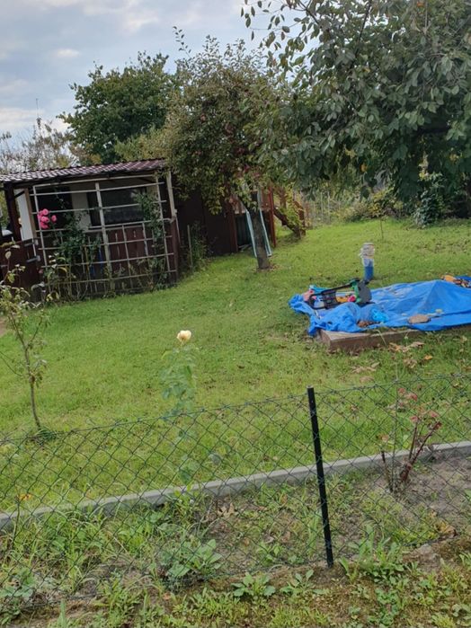 Działka ogródek Rodo