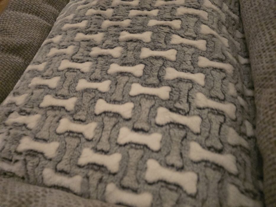 Nowe legowisko dla psa