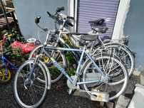 Rower meski gazelle bulls.cena za 3szt
