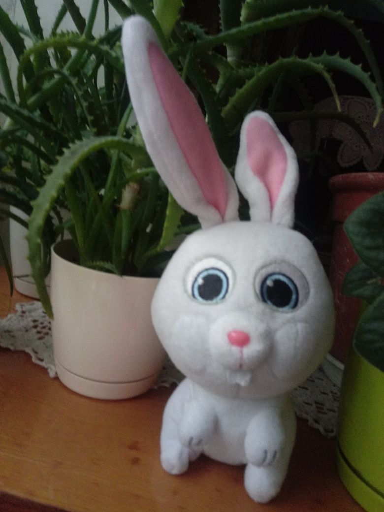 Maskotka królik - 24cm