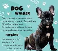 Dog walker/passeio os seus patudos
