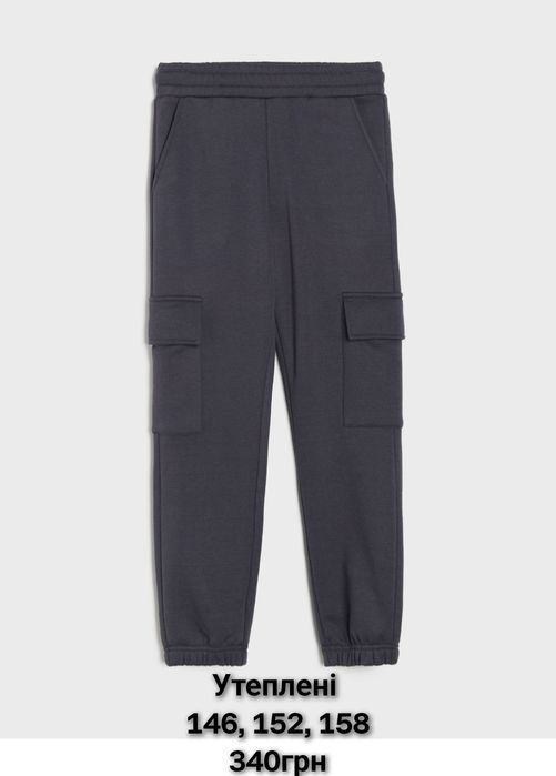 Утеплені спортивні штани джогери sinsay на флісі