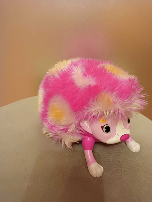 Jeż zoomer Proszę dzwonić lub sms