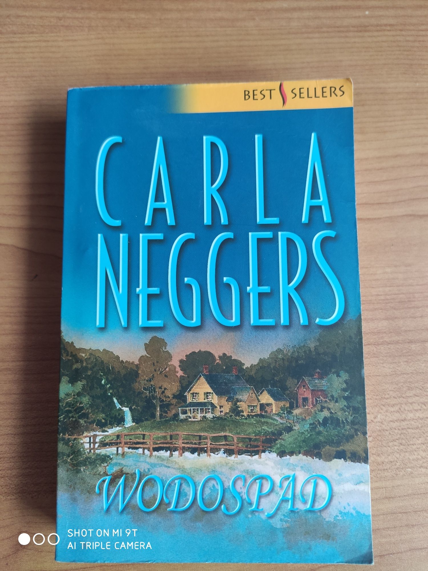 Carla Neggers, Wodospad