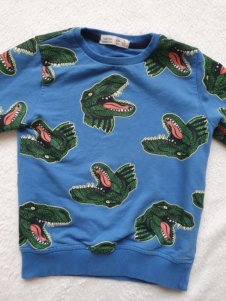 bluza dresowa 98 dino dinozaury toontoy bez kaptura