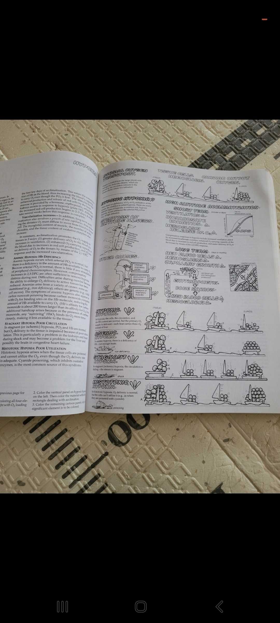 Anglojęzyczne atlasy anatomiczne
