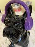 Cão loica marca gato preto bull dog ingles
