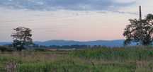 3074m2 Działka budowlana Uciechów ul. Wylotowa (widok na góry) 30a