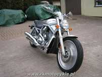 Harley-Davidson Softail V-Rod HARLEY-DAVIDSON V-ROD Vrsca Vrod RKmotocykle